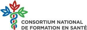 logo cnfs